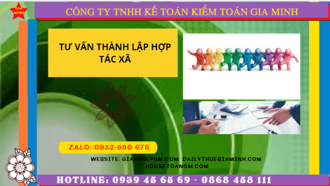 Tư vấn thành lập hợp tác xã tại quận 7 - tphcm 4 Hồ sơ và thủ tục đăng ký thành lập hợp tác xã tại Quận 7 - TPHCM