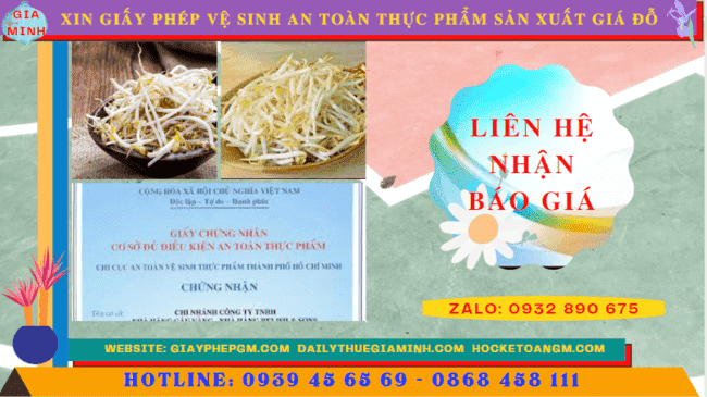 XIN GIẤY PHÉP VỆ SINH AN TOÀN THỰC PHẨM SẢN XUẤT GIÁ ĐỖ TẠI HÀ TĨNH 5 Chi phí cấp giấy phép vệ sinh an toàn thực phẩm sản xuất giá đỗ tại Hà Tĩnh