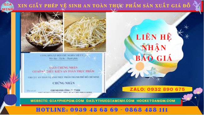 XIN GIẤY PHÉP VỆ SINH AN TOÀN THỰC PHẨM SẢN XUẤT GIÁ ĐỖ TẠI LÀO CAI 5 Chi phí cấp giấy phép vệ sinh an toàn thực phẩm sản xuất giá đỗ tại Lào Cai