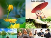 Thủ tục thành lập công ty tư vấn tài chính tại Cần Thơ 10 Dịch vụ làm giấy phép kinh doanh tại Cần Thơ trọn gói