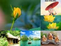 Thủ tục thành lập công ty tư vấn tài chính tại Cần Thơ 8 Dịch vụ làm giấy phép kinh doanh trọn gói tại Cần Thơ