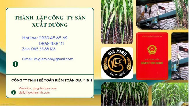 Thành lập công ty sản xuất đường 4 Dịch vụ thành lập công ty sản xuất đường