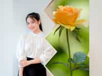 Tư vấn thành lập hợp tác xã trọn gói tại Bình Dương