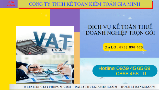 Đơn vị cung cấp dịch vụ kế toán thuế doanh nghiệp ở Thành Phố Hồ Chí Minh 