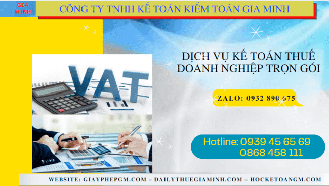 Đơn vị cung cấp dịch vụ kế toán thuế doanh nghiệp ở Gia Lai 