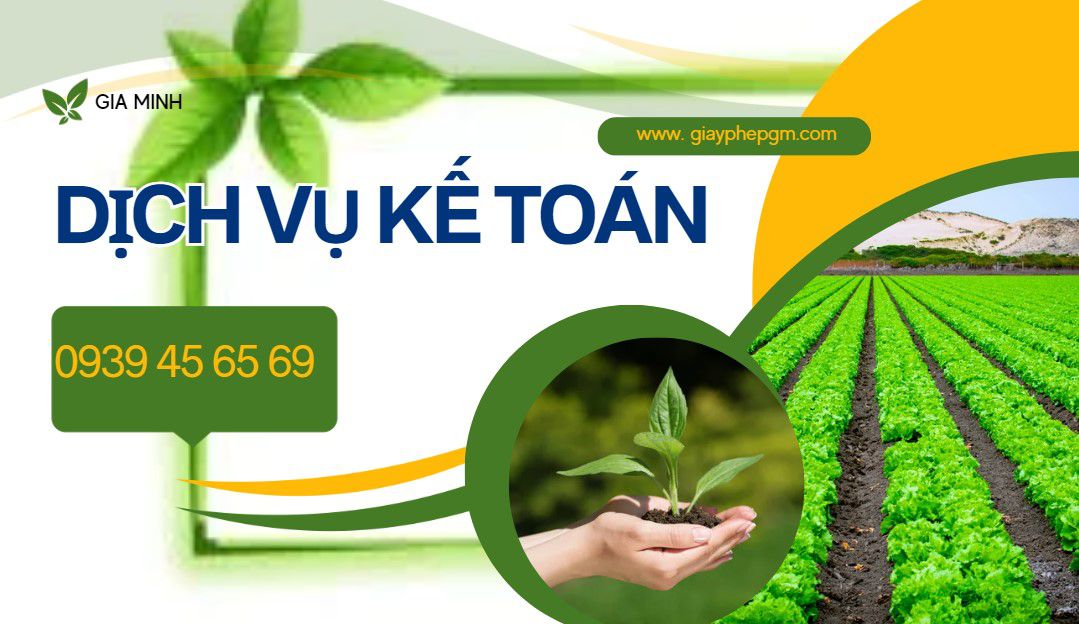 Kế toán thuế quảng bình