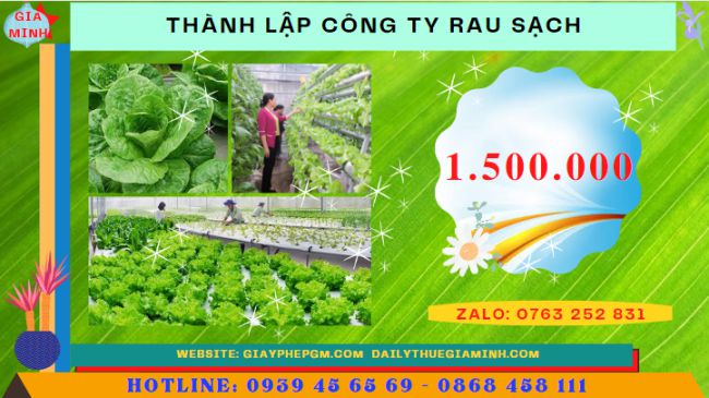 Chi phí thành lập công ty kinh doanh rau sạch