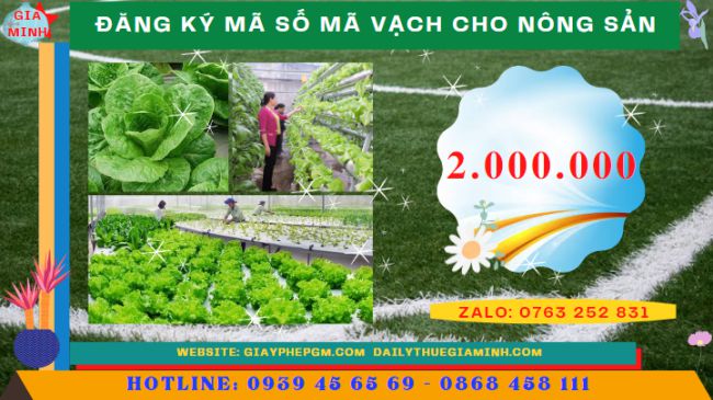 Đăng ký mã số mã vạch cho nông sản 5 Chi phí trọn gói cấp mã số mã vạch nông sản