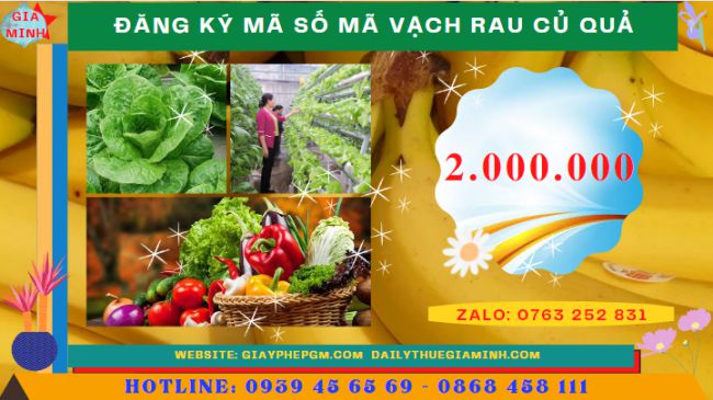 Đăng ký mã số mã vạch rau củ quả 5 Chi phí trọn gói cấp mã số mã vạch rau củ quả