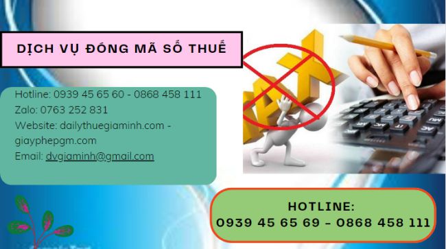 Cách mở lại mã số thuế bị đóng tại Điện Biên