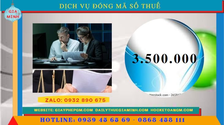 Dịch vụ đóng mã số thuế tại Bắc Kạn 5 Chi phí thuê dịch vụ đóng mã số thuế tại Bắc Kạn