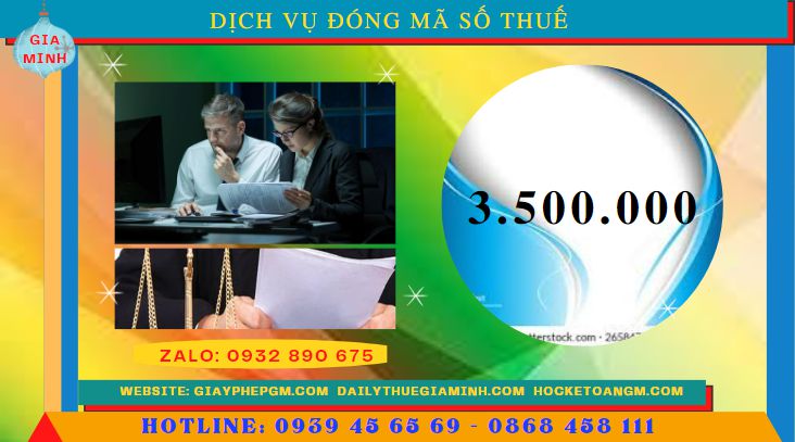 Dịch vụ đóng mã số thuế tại Cà Mau 5 Chi phí thuê dịch vụ đóng mã số thuế tại Cà Mau