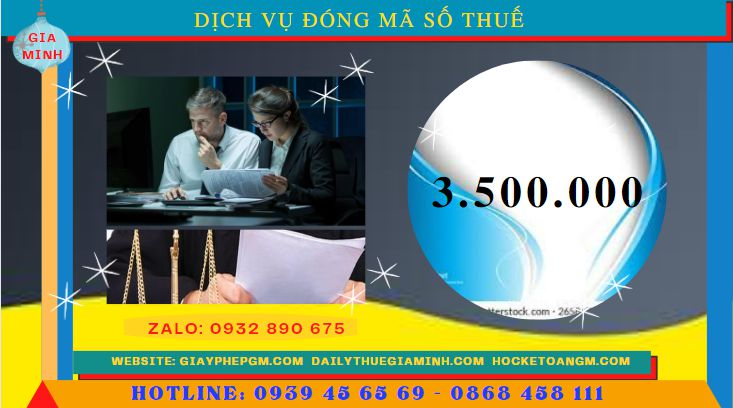 Chi phí thuê dịch vụ đóng mã số thuế tại Nam Định