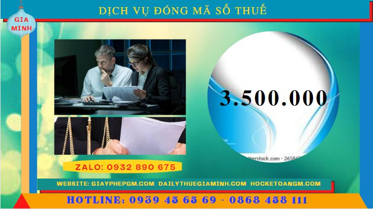 Chi phí thuê dịch vụ đóng mã số thuế tại Thái Bình