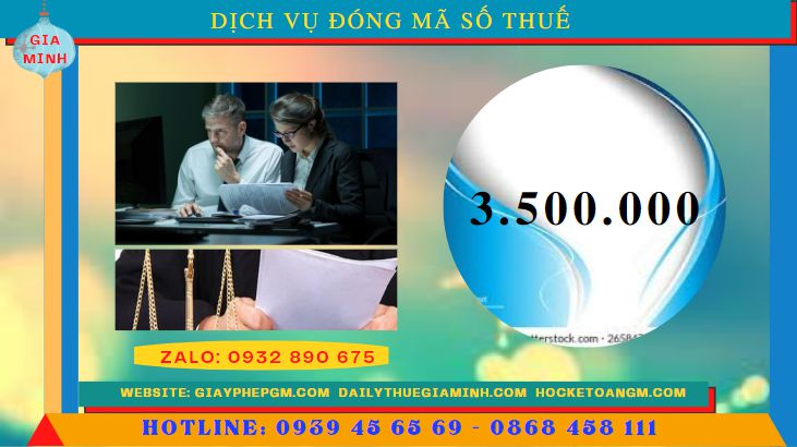 Chi phí thuê dịch vụ đóng mã số thuế tại Thái Nguyên