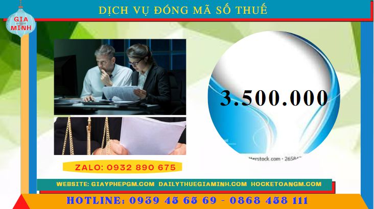 Dịch vụ đóng mã số thuế tại Tuyên Quang 5 Chi phí thuê dịch vụ đóng mã số thuế tại Tuyên Quang