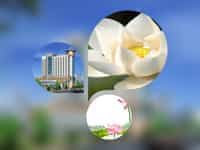 Dịch vụ thay đổi căn cước tại Vũng Tàu 3 Dịch vụ làm thẻ căn cước công dân nhanh tại Vũng Tàu