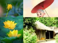 Dịch vụ thay đổi căn cước tại Vũng Tàu 4 Dịch vụ lấy thẻ căn cước nhanh tại Vũng Tàu