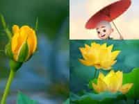 Dịch vụ thay đổi căn cước tại Vũng Tàu 2 Dịch vụ thay đổi căn cước công dân tại Vũng Tàu