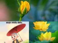 Dịch vụ thay đổi căn cước tại Vũng Tàu 7 Thủ tục làm căn cước công dân gắn chíp nhanh tại Vũng Tàu