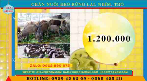 Thủ tục xin cấp giấy phép chăn nuôi heo rừng lai, nhím, thỏ 5 Chi phí xin cấp giấy phép chăn nuôi heo rừng lai