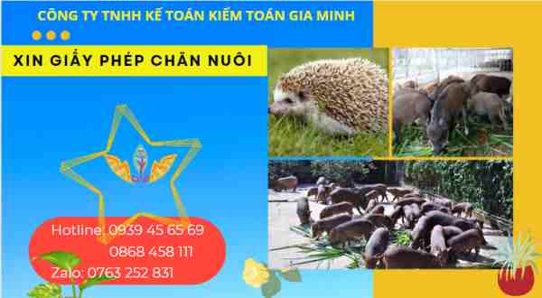 Thủ tục xin cấp giấy phép chăn nuôi heo rừng lai, nhím, thỏ 4 Thủ tục xin giấy phép chăn nuôi heo rừng lai, nhím, thỏ
