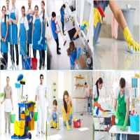 Bổ sung ngành nghề kinh doanh dịch vụ vệ sinh tại bắc ninh 9 Bổ sung ngành nghề kinh doanh dịch vụ vệ sinh ở Bắc Ninh