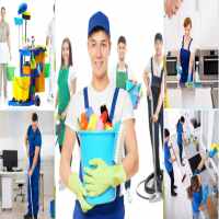 Bổ sung ngành nghề kinh doanh dịch vụ vệ sinh tại Lào Cai 9 Bổ sung ngành nghề kinh doanh dịch vụ vệ sinh ở Lào Cai