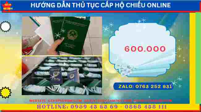 Hướng dẫn thủ tục cấp hộ chiếu online tại Gia Lai 13 Chi phí dịch vụ cấp hộ chiếu online tại Gia Lai