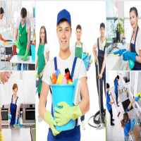 Bổ sung ngành nghề kinh doanh dịch vụ vệ sinh tại Lào Cai 12 Điều kiện kinh doanh dịch vụ vệ sinh ở Lào Cai