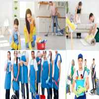 Làm thủ tục bổ sung ngành nghề dịch vụ vệ sinh tại Cần Thơ
