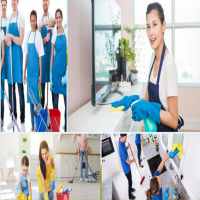 BỔ SUNG NGÀNH NGHỀ KINH DOANH DỊCH VỤ VỆ SINH TẠI VĨNH PHÚC
