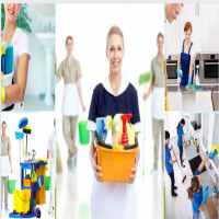 Bổ sung ngành nghề kinh doanh dịch vụ vệ sinh tại Lào Cai 14 Tư vấn thủ tục bổ sung ngành nghề dịch vụ vệ sinh tại Lào Cai