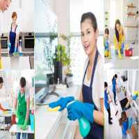 Bổ sung ngành nghề kinh doanh dịch vụ vệ sinh tại Yên Bái 8 Tư vấn thủ tục bổ sung ngành nghề dịch vụ vệ sinh tại Yên Bái