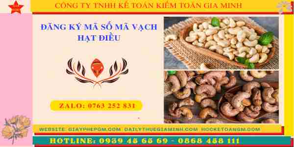 Đăng ký mã số mã vạch hạt điều 8 Thủ tục đăng ký MSMV hạt điều