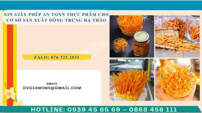 Thủ tục xin giấy phép an toàn thực phẩm cho cơ sở sản xuất đông trùng hạ thảo
