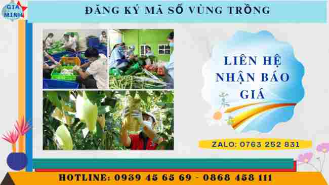 Đăng ký mã số vùng trồng nông sản xuất khẩu sang trung quốc 13 Dịch vụ đăng ký mã số vùng trồng cho nông sản xuất khẩu sang Trung Quốc trọn gói