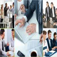 Thành lập công ty trồng cây điều 8 Các thủ tục cần làm sau khi thành lập công ty trồng cây điều