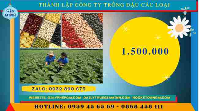 Thành lập công ty trồng đậu các loại 11 Chi phí mở công ty trồng đậu