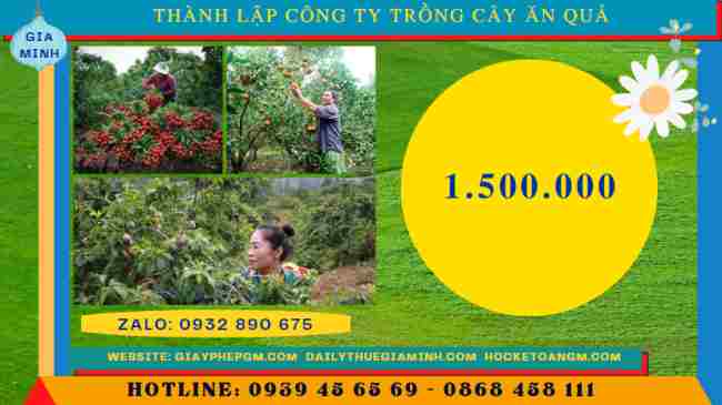 Thành lập công ty trồng cây ăn quả 5 Chi phí thành lập công ty trồng cây ăn quả