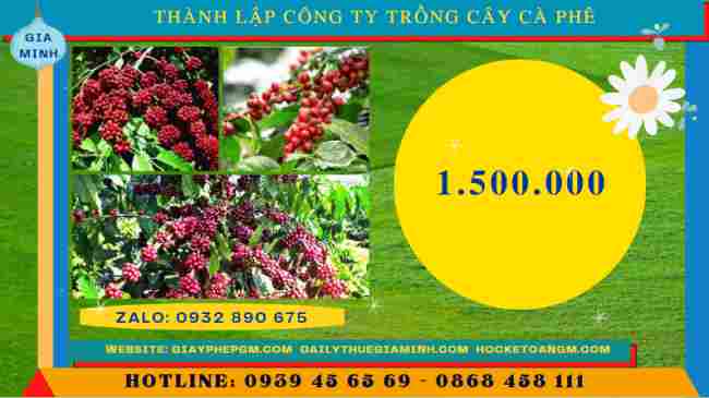 Thành lập công ty trồng cây cà phê 11 Chi phí thành lập công ty trồng cây cà phê