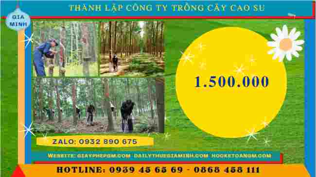 Thành lập công ty trồng cây cao su 11 Chi phí thành lập công ty trồng cây cao su