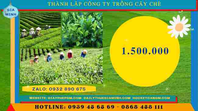 Thành lập công ty trồng cây chè 11 Chi phí thành lập công ty trồng cây chè
