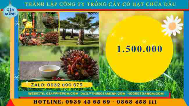 Thành lập công ty trồng cây có hạt chứa dầu 5 Chi phí thành lập công ty trồng cây có hạt chứa dầu