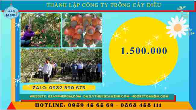 Thành lập công ty trồng cây điều 9 Chi phí thành lập công ty trồng cây điều