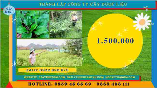 Chi phí thành lập công ty trồng cây dược liệu

