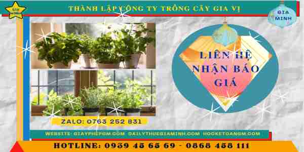 Thành lập công ty trồng cây gia vị 7 Chi phí thành lập công ty trồng cây gia vị