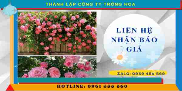 Chí phí thành lập công ty trồng hoa