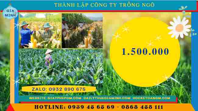 Thành lập công ty trồng ngô 5 Chi phí thành lập công ty trồng ngô