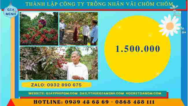 Thành lập công ty trồng nhãn, vải, chôm chôm 9 Chi phí thành lập công ty trồng nhãn, vải, chôm chôm